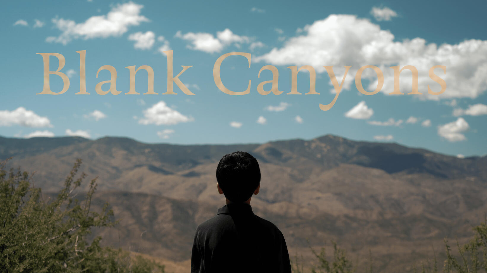 Blank Canyons